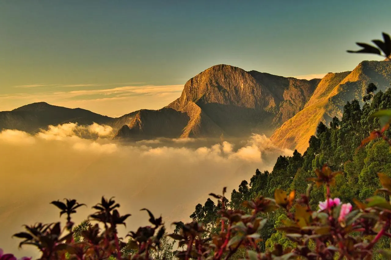 Chandys Drizzle Drops - Munnar Top Station Station touristique