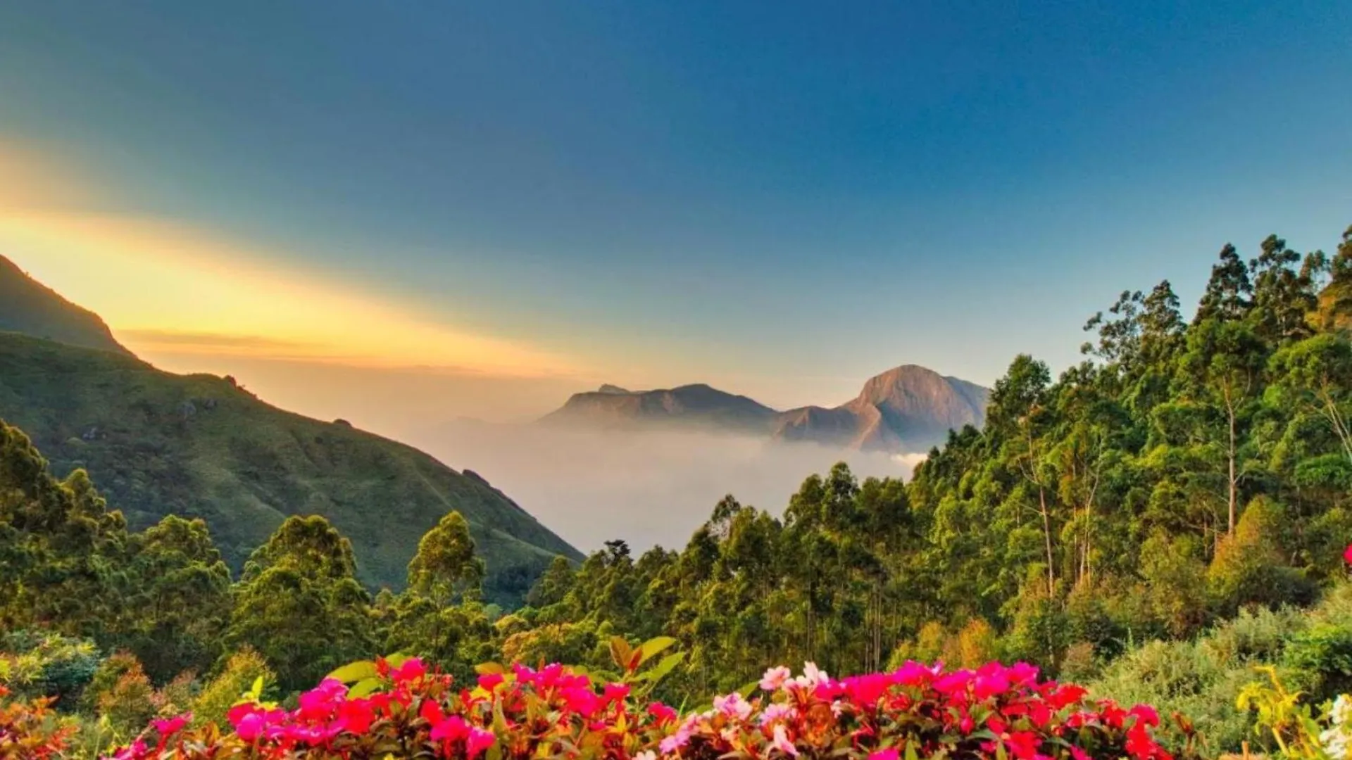 Chandys Drizzle Drops - Munnar Top Station Station touristique